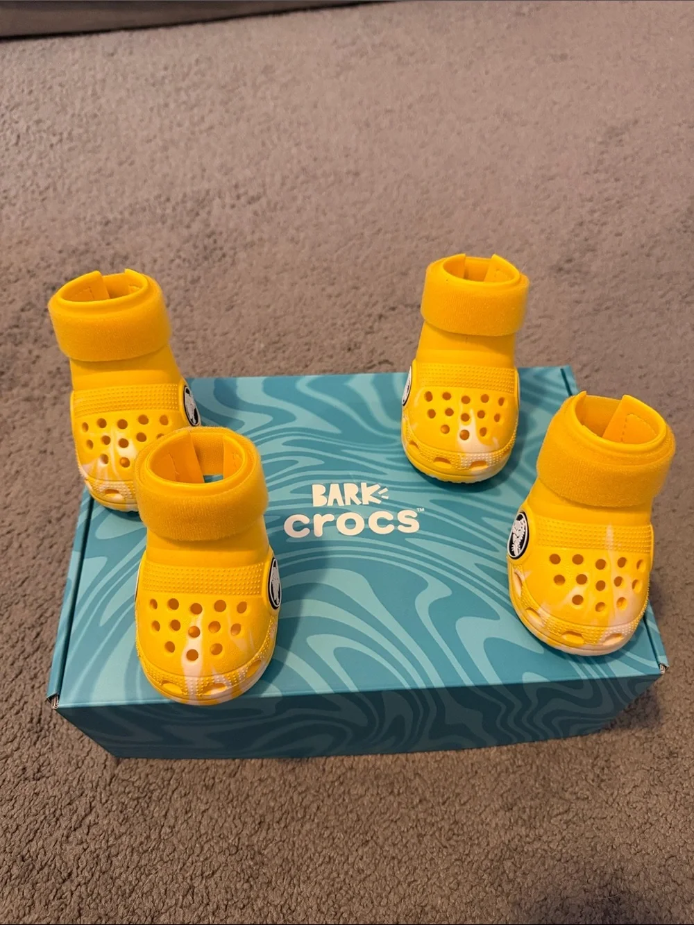 Dogs BARK Crocs